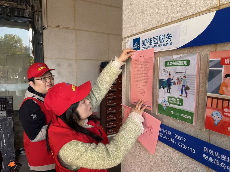 1773303608647959.jpg 1773303608647959.jpg